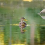 Effizientes Medien-Monitoring: Wie Adverse Media Screening Ihr Unternehmen Schützt