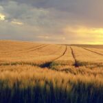 Effektives Adverse Media Screening: Schutz vor Risiken und Rufschädigung