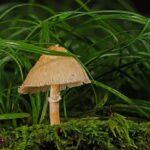 Mastering Adverse Media Screening: Tips & Tools