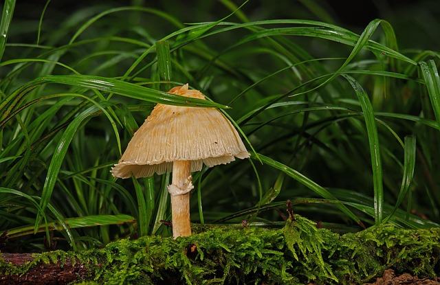 Mastering Adverse Media Screening: Tips & Tools