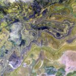 Effektives Risikomanagement: Die Zukunft der Adverse Media Screening